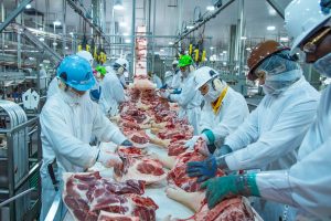 Top Meat Processor's Success Journey with Knorex XPO